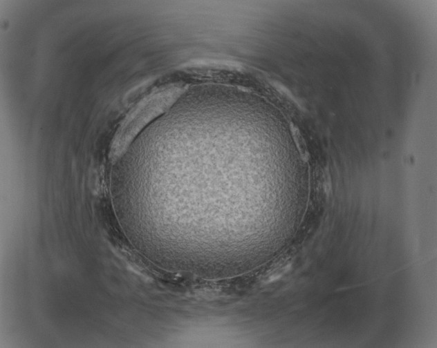 X0000084030965200703161801