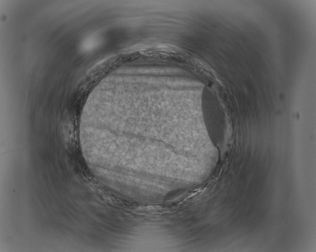 X0000084030966200703161801