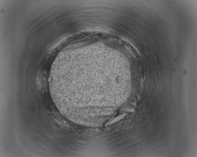 X0000084030968200703161801