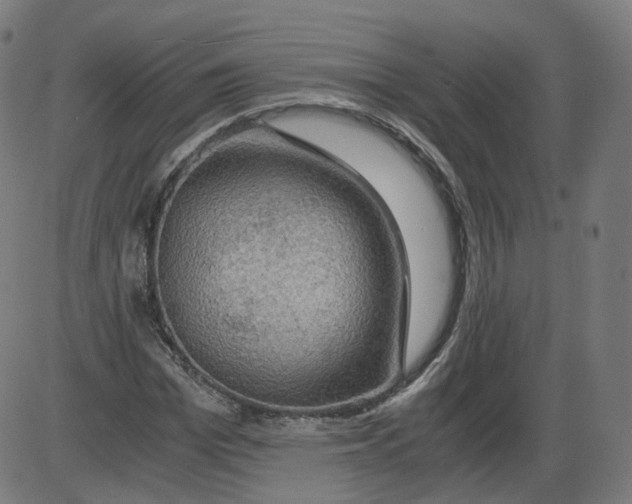 X0000084030969200703161801