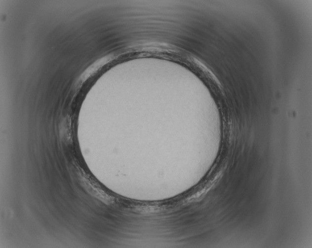 X0000084030970200703161801