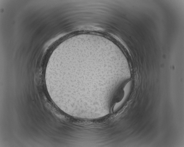 X0000084030971200703161801