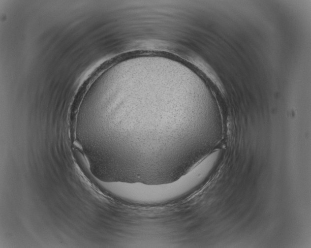 X0000084030972200703161801