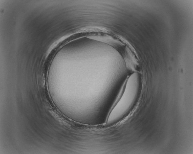 X0000084030973200703161801