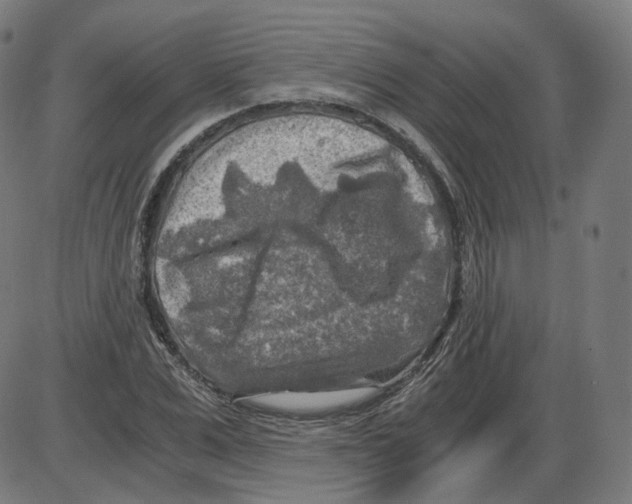 X0000084030975200703161801