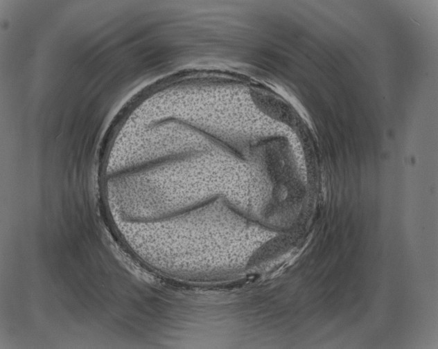 X0000084030976200703161801