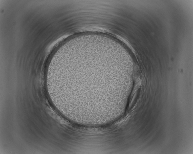 X0000084030979200703161801