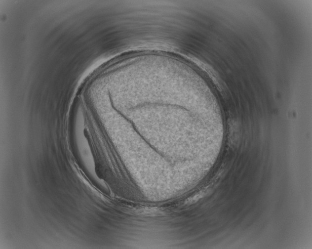 X0000084030982200703161801