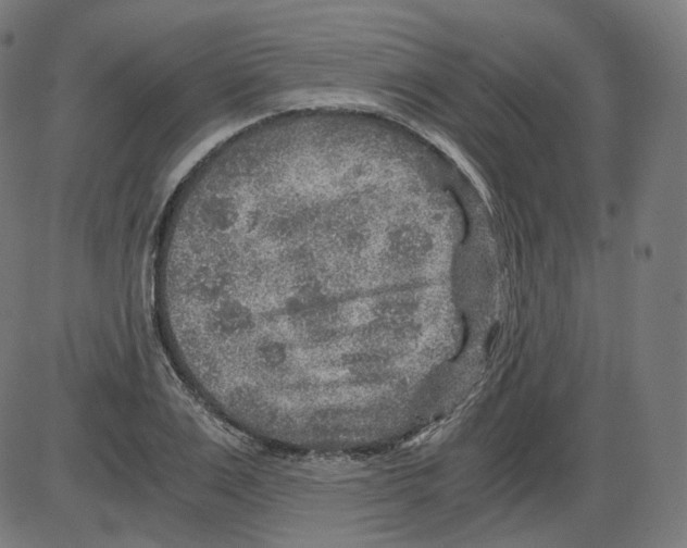 X0000084030983200703161801