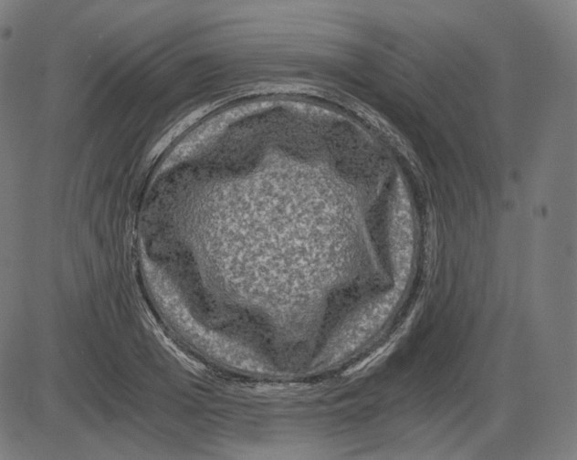 X0000084030985200703161801