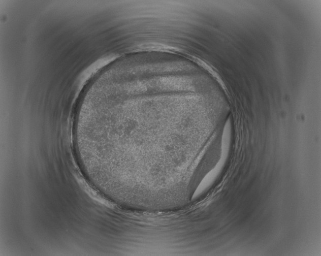 X0000084030987200703161801