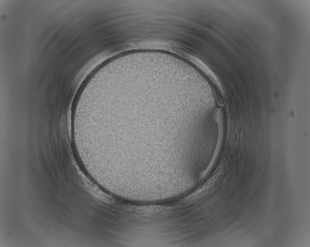 X0000084030988200703161801