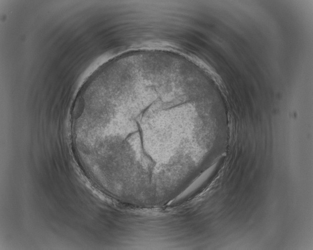 X0000084030990200703161801