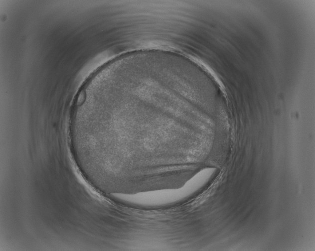 X0000084030991200703161801