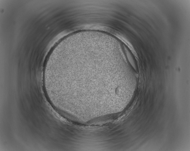 X0000084030992200703161801