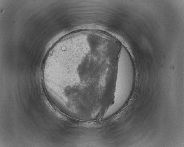 X0000084030998200703161801