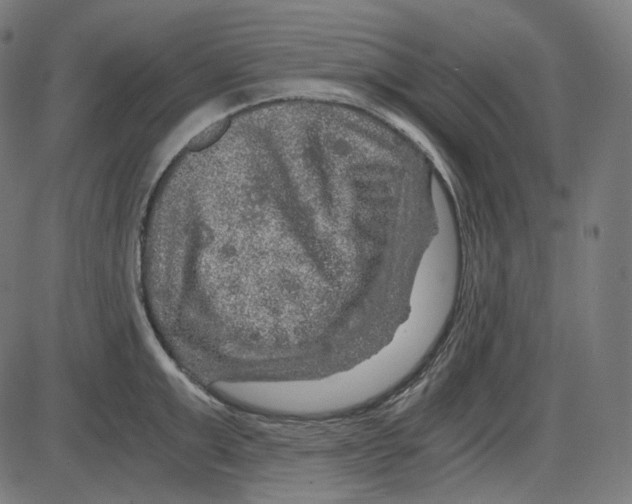 X0000084030999200703161801