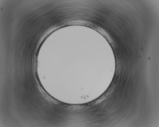 X0000084031000200703161801