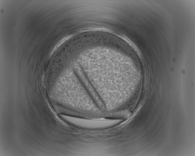 X0000084031001200703161801