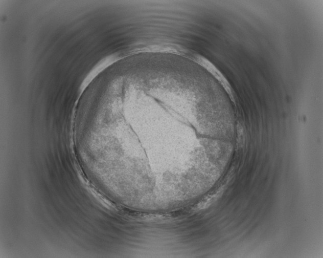 X0000084031002200703161801