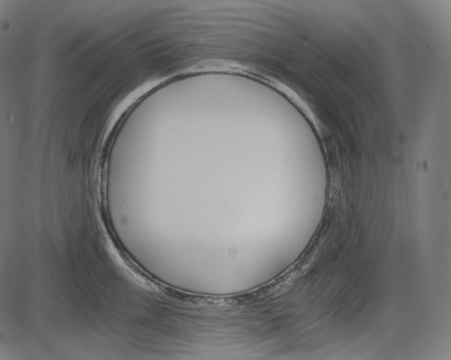 X0000084031003200703161801