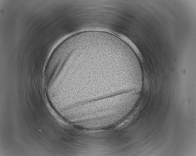 X0000084031004200703161801