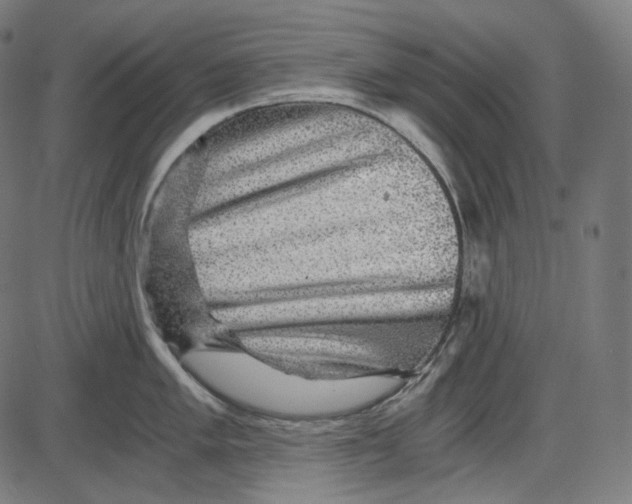 X0000084031005200703161801