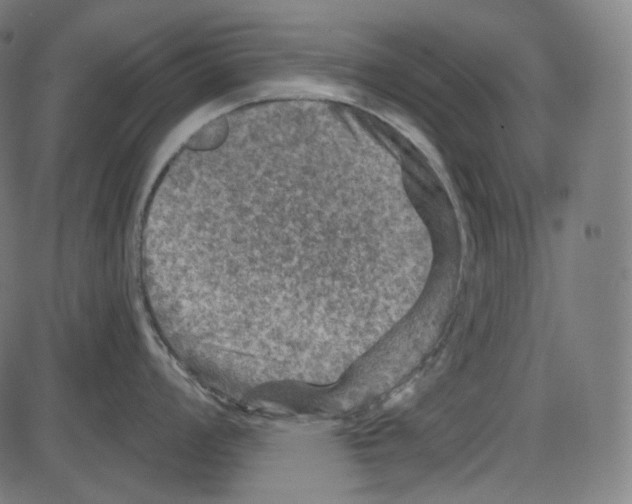 X0000084031008200703161801