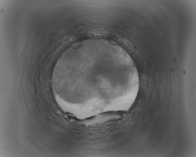 X0000084031009200703161800