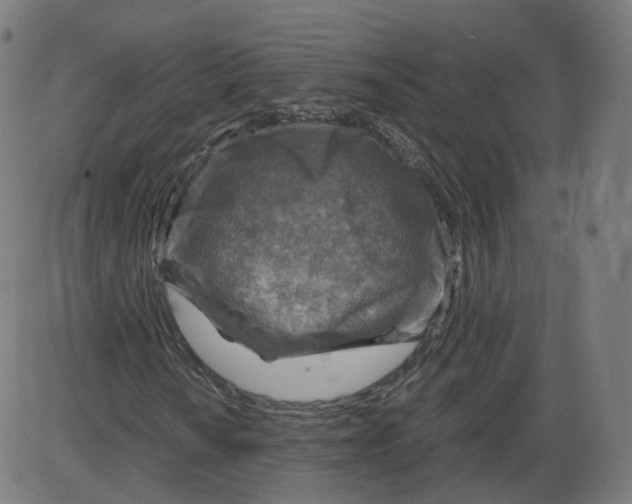 X0000084031010200703161800