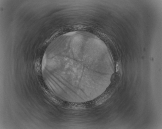 X0000084031011200703161800