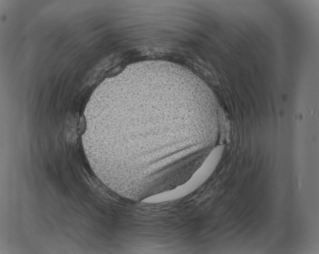 X0000084031012200703161800