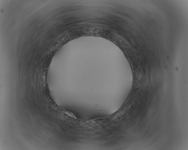 X0000084031013200703161800