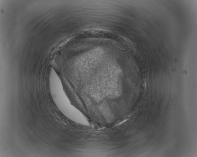 X0000084031014200703161800