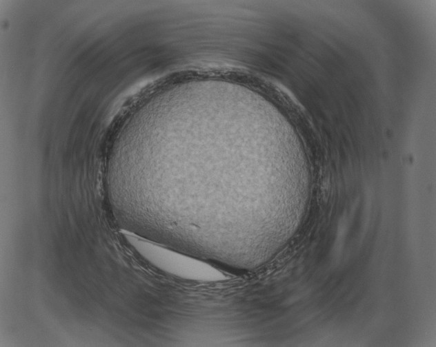 X0000084031016200703161800