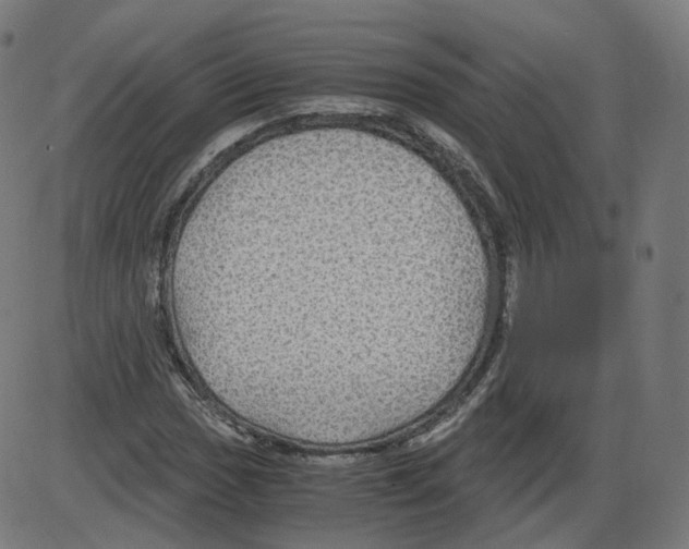 X0000084031017200703161800