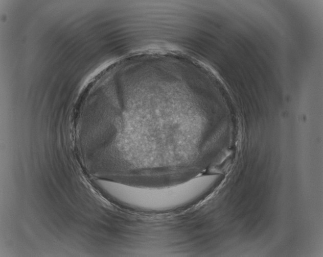 X0000084031018200703161800