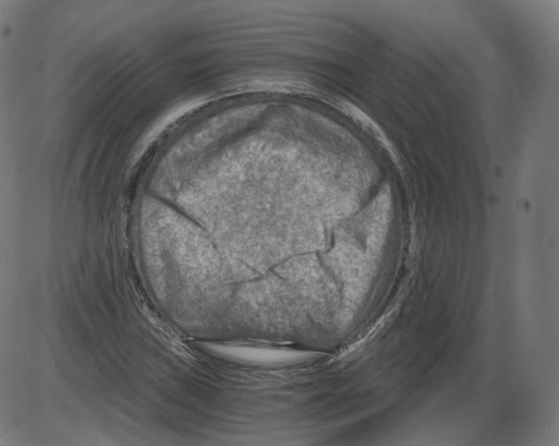 X0000084031019200703161800