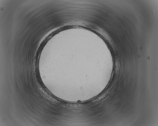 X0000084031020200703161800