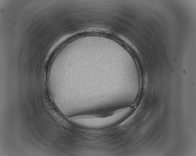 X0000084031021200703161800