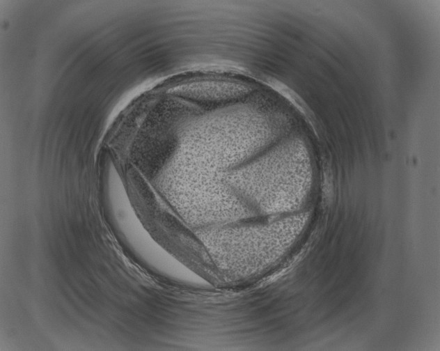 X0000084031022200703161800