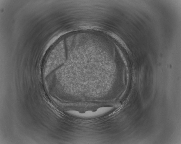 X0000084031023200703161800