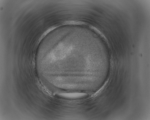 X0000084031025200703161800