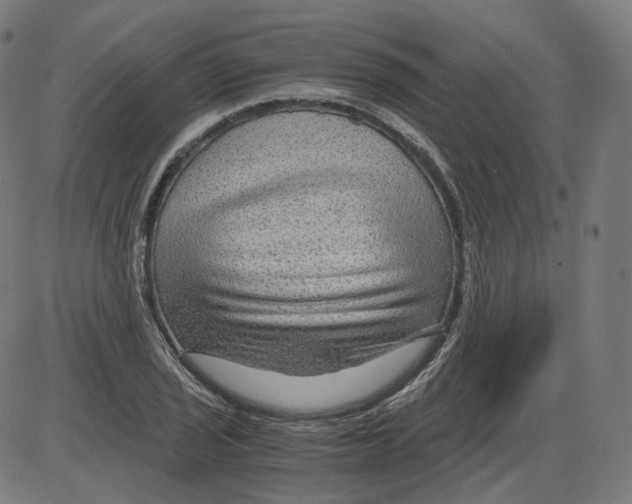 X0000084031029200703161800