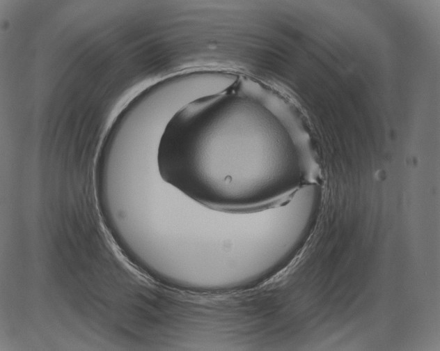 X0000084031030200703161800