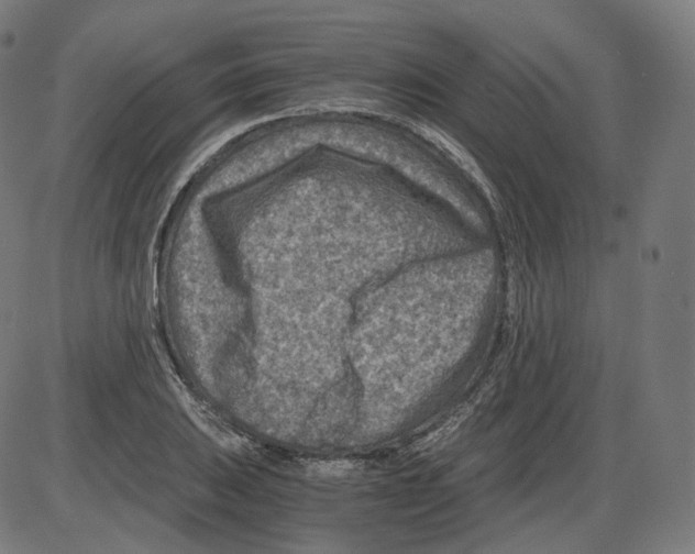 X0000084031031200703161800