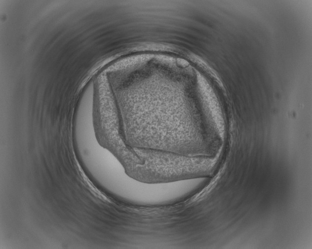 X0000084031033200703161800