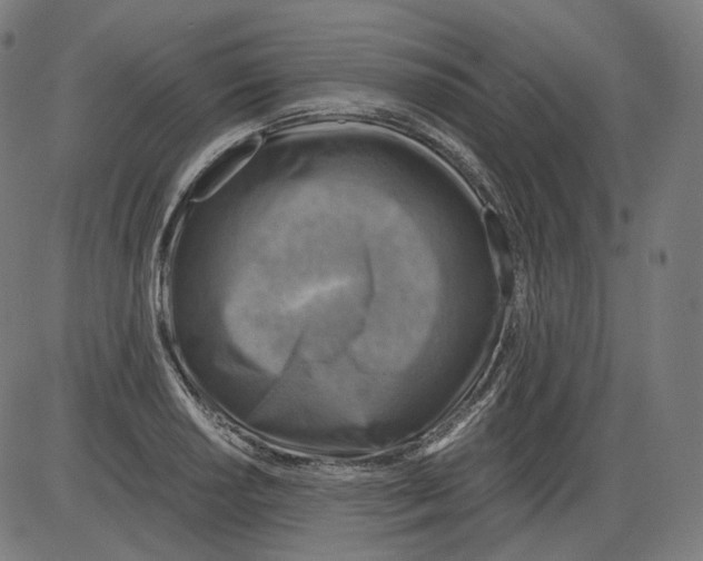 X0000084031034200703161800