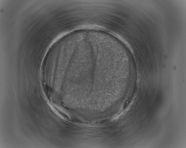 X0000084031037200703161800