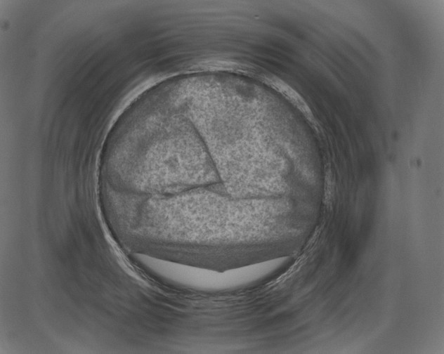 X0000084031039200703161800